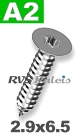 2,9x6,5mm / per stuk - plaatschroef TX A2